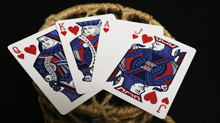 Bicycle Euchre Playing Cards - Image 4