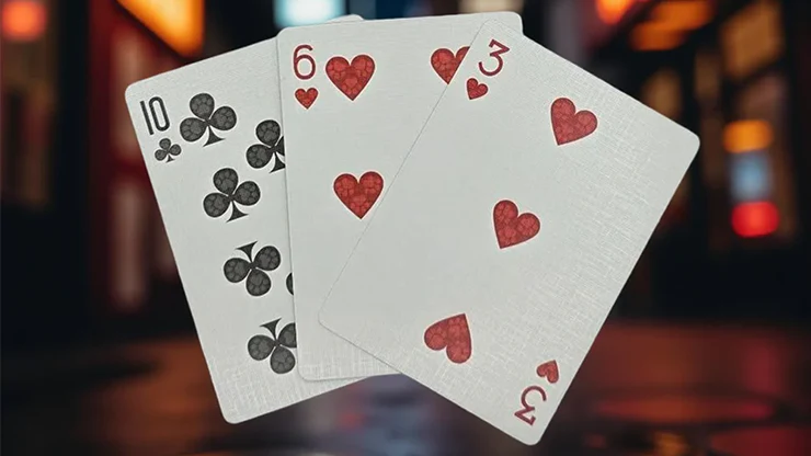 Biker Dogs Playing Cards by Collectable Playing Cards - Image 5
