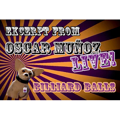 Billiard Balls by Oscar Munoz (Excerpt from Oscar Munoz Live) - Video Download