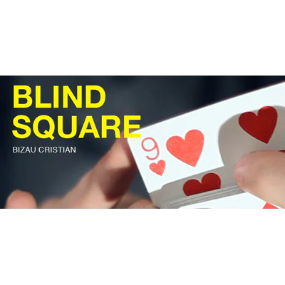 Blind Square by Bizau Cristian - Video Download