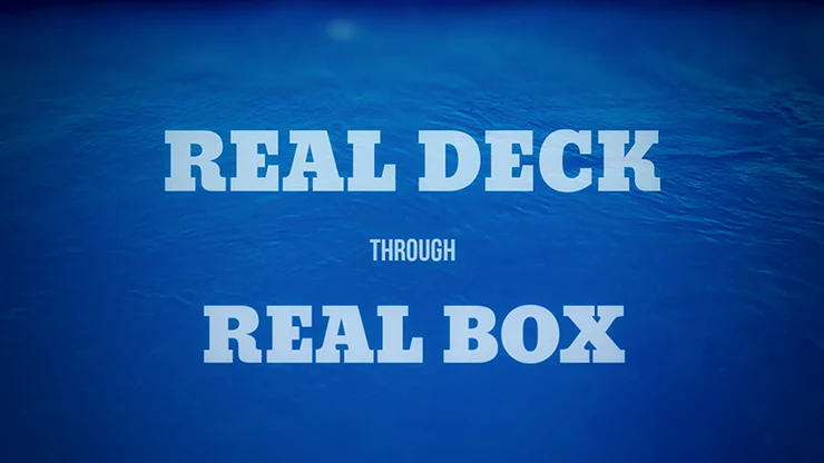 Box Out by Rizki Nanda - Video Download - Image 3