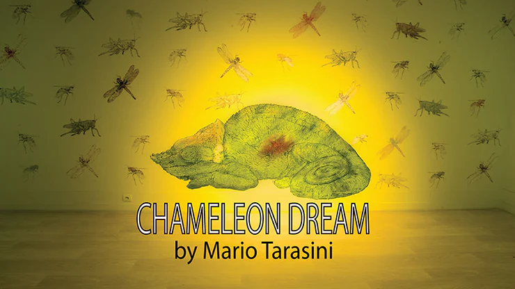 Chameleon Dream by Mario Tarasini - Video Download