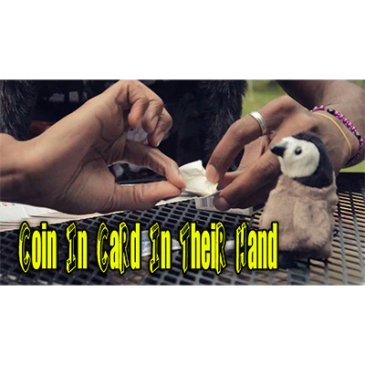 Coin In card by Jibrizy - - Video Download