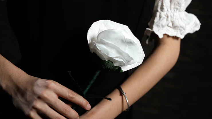 Fantasy Rose by Leon, Bond Lee & MS Magic - Image 5