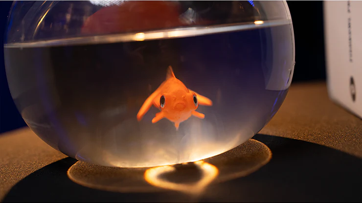 Fishbowl Production by Murphy's Magic - Image 4