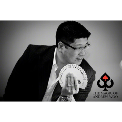 Illuminating Ideas (English) by Andrew Woo - ebook - Image 2