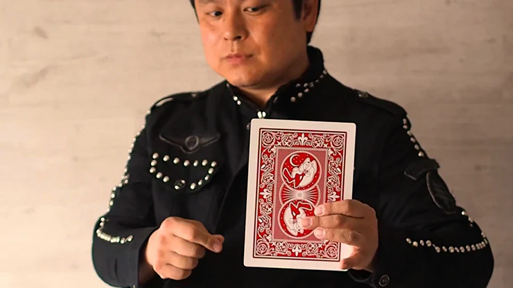 Jumbo Princess Card Trick by Tejinaya Magic - Trick - Image 4