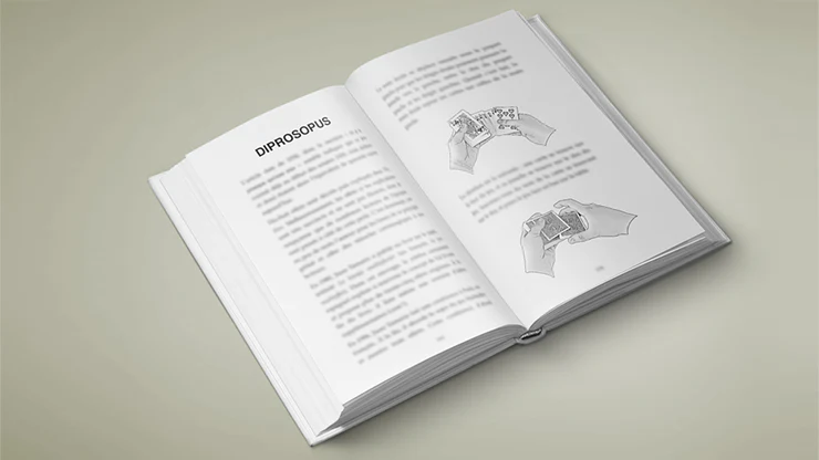 Multitude by Vincent Hedan - Book - Image 2