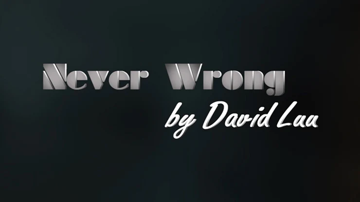 Never Wrong by David Luu - Video Download