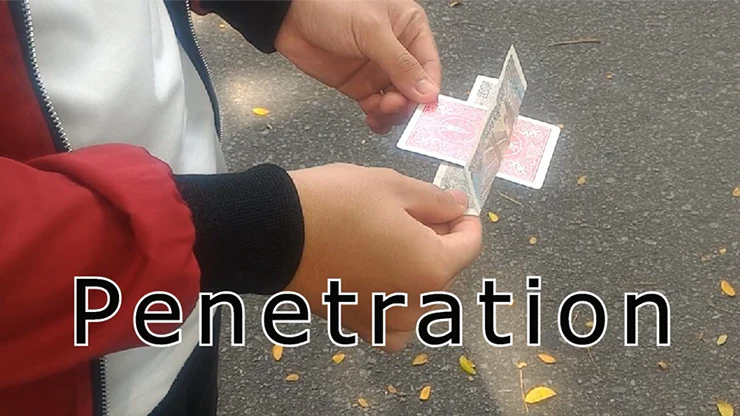 Penetration by Arnold - Video Download