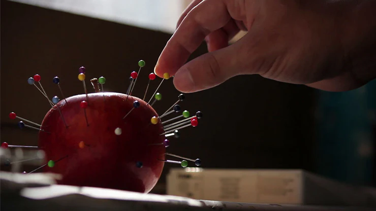 Pinch by Thinking Paradox - Video Download - Image 2