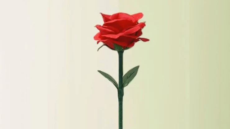 Rainbow Rose by JL Magic - Image 4