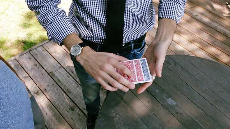 ReCard Monte by Steven Himmel - Video Download - Image 2