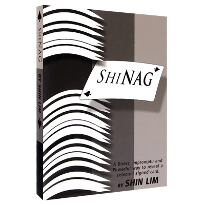 Shinag by Shin Lim - Video Download