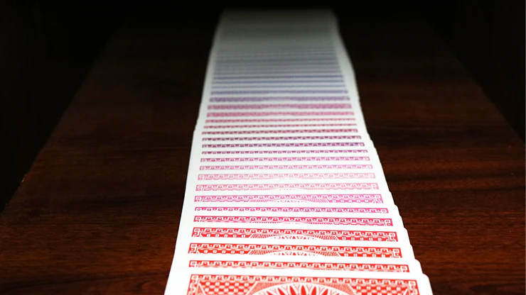 Spectrum Tally Ho Deck by US Playing Card Co. - Image 3