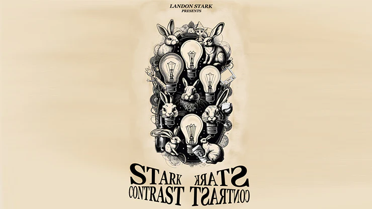 The Stark Contrast by Landon Stark - ebook