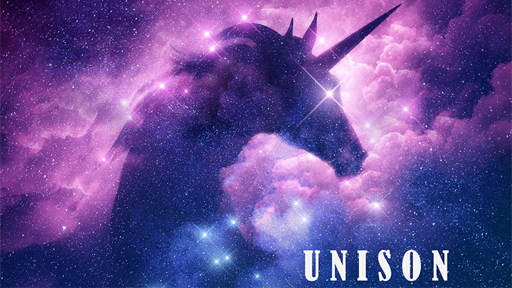 UNISON by Dibya Guha -Â ebook