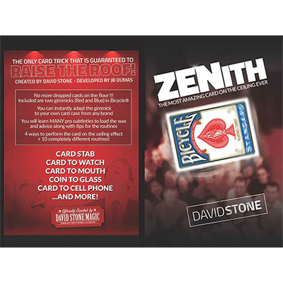 Zenith (online instructions) by David Stone - Image 2